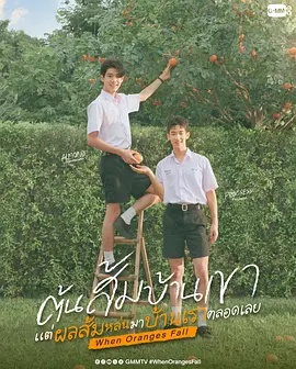 当橘子掉落时——孝利家民